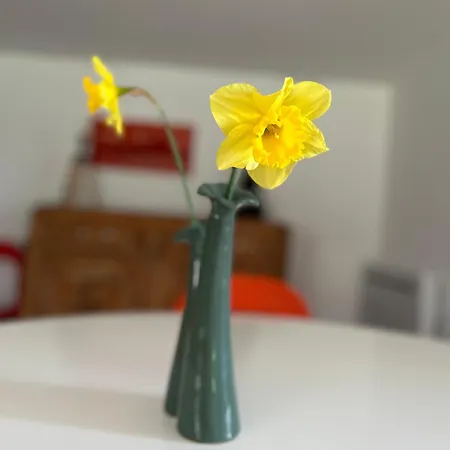 La Maison Du Jardin *